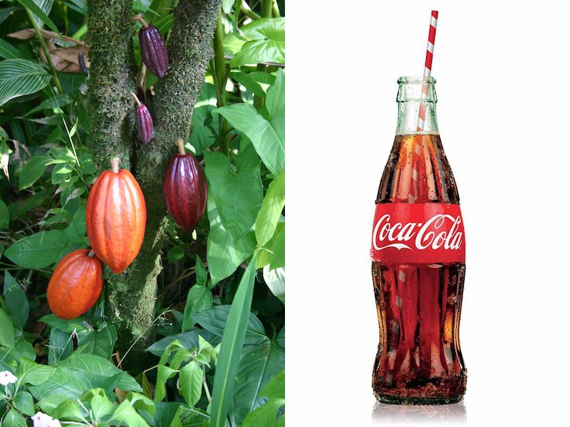 Illustration for article titled El origen del peculiar diseño de las botellas de Coca-Cola